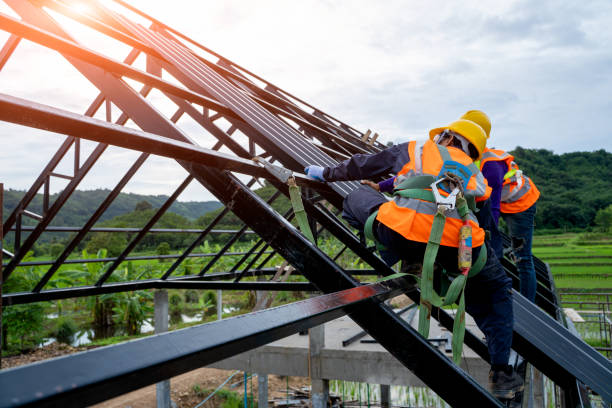 Best Emergency Roof Repair  in Wells, MN